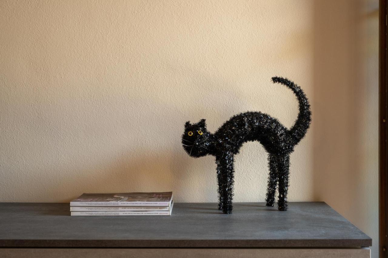 Casa Del Gatto Apartment Paratico Ngoại thất bức ảnh